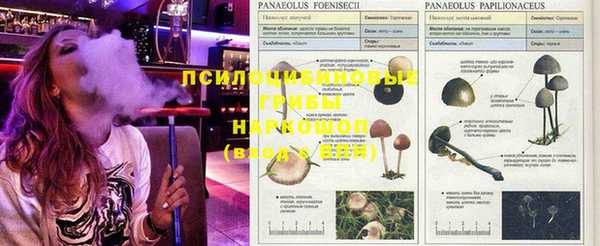 меф Ладушкин