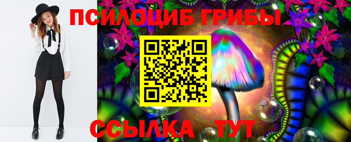 Псилоцибиновые грибы MAGIC MUSHROOMS Северобайкальск